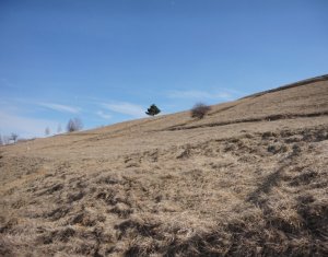 , 1066m2 on Cluj-napoca, Zóna Faget