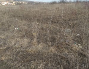 Telek eladó on Cluj-napoca, Zóna Borhanci