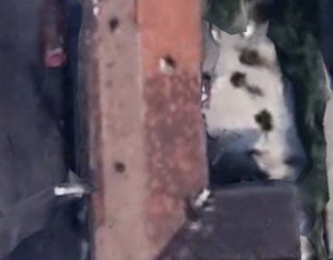 Ház 8 szobák eladó on Cluj-napoca, Zóna Centru