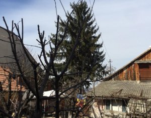 , 565m2 dans Cluj-napoca, zone Gheorgheni