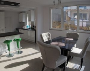 Ház 4 szobák kiadó on Cluj-napoca, Zóna Borhanci