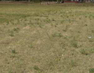 Telek eladó on Floresti