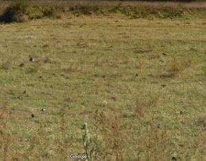 Telek eladó on Floresti