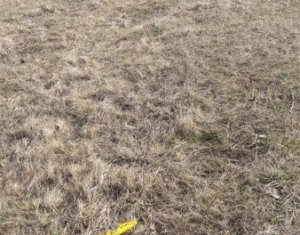 Telek eladó on Floresti