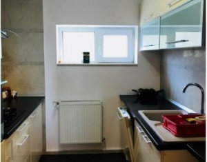 Ház 4 szobák kiadó on Cluj-napoca, Zóna Dambul Rotund