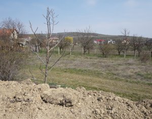 Telek eladó on Cluj-napoca, Zóna Dambul Rotund