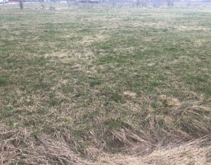 Telek eladó on Floresti