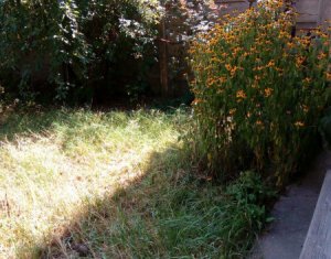 Telek eladó on Cluj-napoca, Zóna Centru