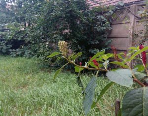 Telek eladó on Cluj-napoca, Zóna Centru