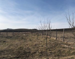 Nyaralók eladó on Barai