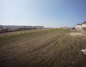 Telek eladó on Chinteni