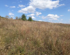 Telek eladó on Baciu