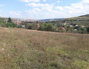 Telek eladó on Baciu