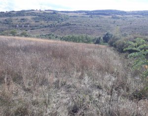 Telek eladó on Baciu