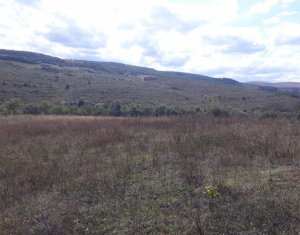 Telek eladó on Baciu