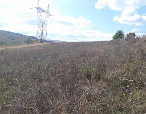 Telek eladó on Baciu