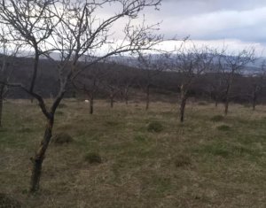 Telek eladó on Cluj-napoca, Zóna Faget