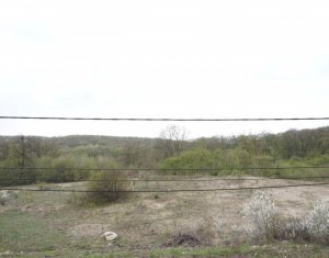 Ház 4 szobák eladó on Cluj-napoca