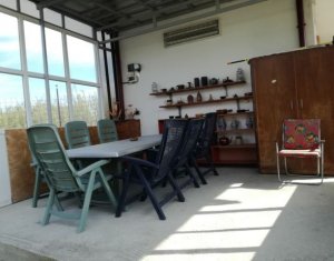 Ház 5 szobák kiadó on Sannicoara