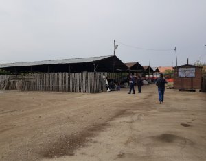 Telek kiadó on Cluj-napoca