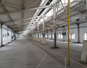  on Cluj-napoca, Zóna Iris