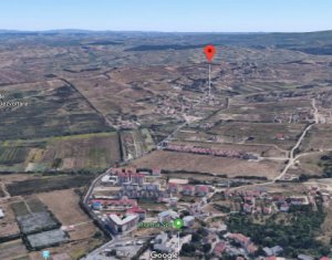 , 1670m2 on Cluj-napoca, Zóna Borhanci