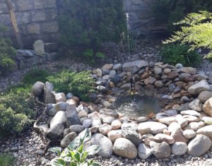 Ház 7 szobák eladó on Baciu