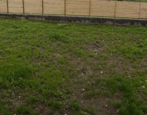 Ház 4 szobák eladó on Sannicoara