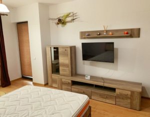 Lakás 1 szobák kiadó on Cluj-napoca, Zóna Gheorgheni