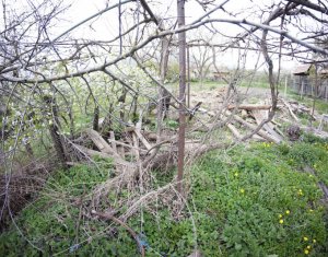 Telek eladó on Ceanu Mic