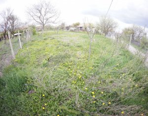 Telek eladó on Ceanu Mic