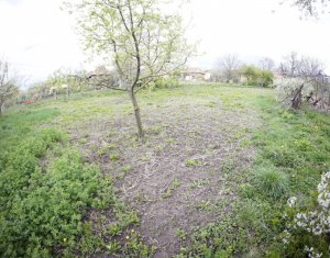 Telek eladó on Ceanu Mic