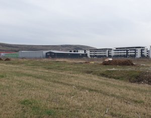 Telek eladó on Sannicoara