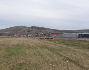 Telek eladó on Sannicoara