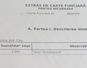 Telek eladó on Sannicoara