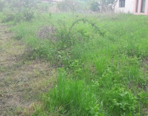 Telek eladó on Cluj-napoca, Zóna Borhanci