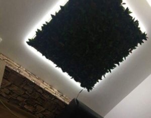 Lakás 1 szobák kiadó on Cluj-napoca, Zóna Centru