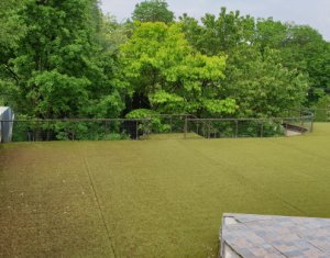 Ház 10 szobák eladó on Cluj-napoca, Zóna Zorilor