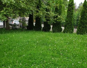 Ház 10 szobák kiadó on Cluj-napoca, Zóna Zorilor