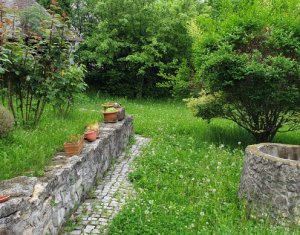 Ház 10 szobák kiadó on Cluj-napoca, Zóna Zorilor