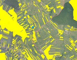 Telek eladó on Baciu