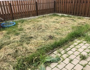 Ház 4 szobák eladó on Floresti