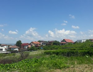 , 644m2 on Cluj-napoca, Zóna Europa