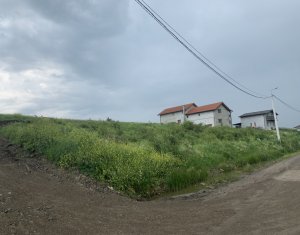 , 1000m2 on Cluj-napoca, Zóna Iris