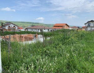 Telek eladó on Chinteni