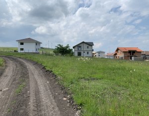 Telek eladó on Chinteni