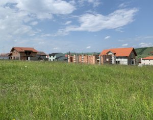 Telek eladó on Chinteni