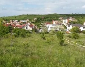 , 1830m2 on Cluj-napoca, Zóna Borhanci