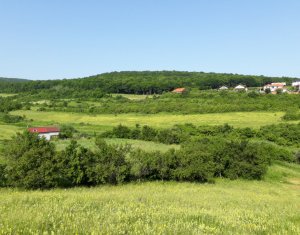 Telek eladó on Floresti