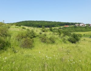 Telek eladó on Floresti